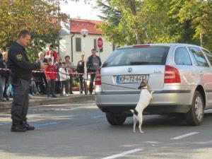 Kako lahko ukrepam sam – napotki ter predstavitev reševalnih služb in policije5